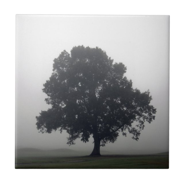 Foggy Träd Kakelplatta (Framsidan)