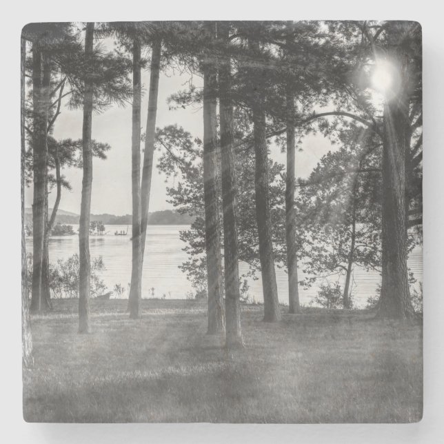 Foggy Träd vid Bord Sten Stenunderlägg (Framsidan)