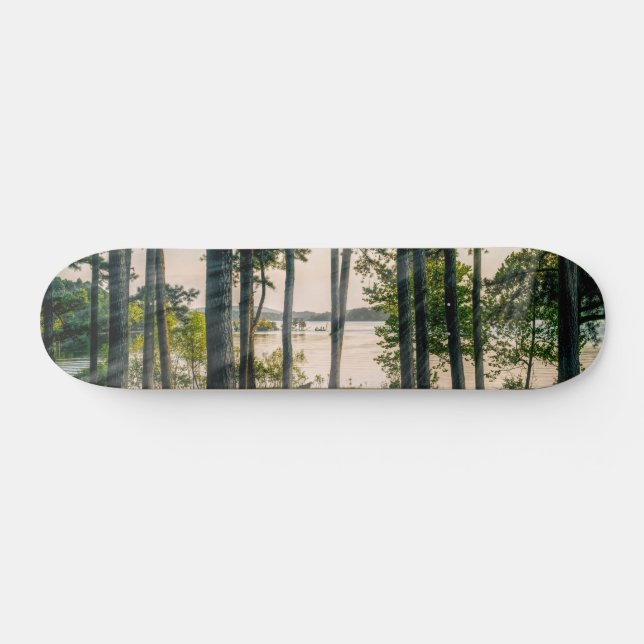 Foggy Träd vid Skateboard Bord Sten (Horz)