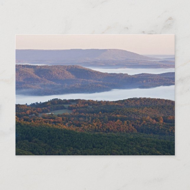 Foggy valleys och fall bladverk i Ozark Vykort (Framsida)