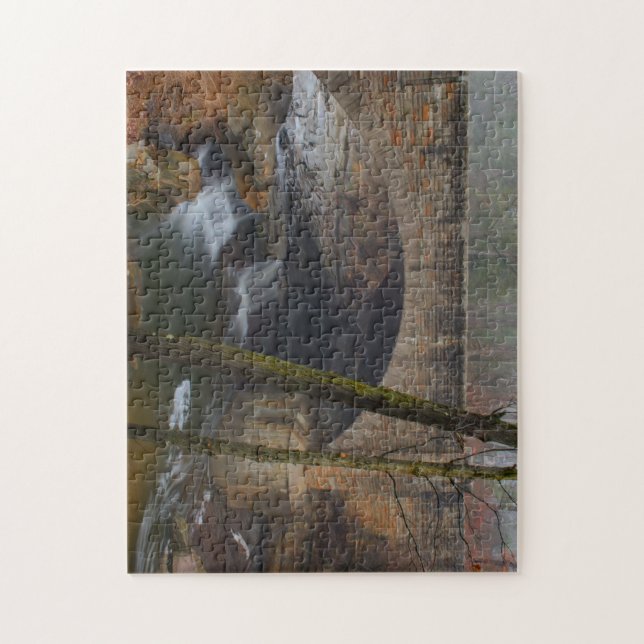 Foggy Waterfall i Cleveland Metro Parker Pussel (Vertikal)