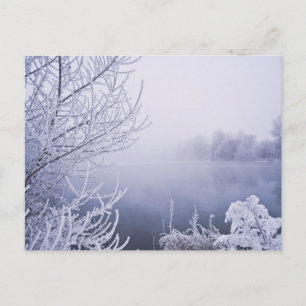 Foggy Winter Day vid floden Vykort