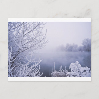 Foggy Winter Day vid floden Vykort