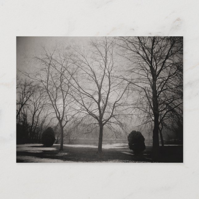 Foggy Winter Smälter Snö Art-vykort Vykort (Framsida)