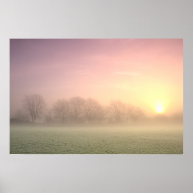 Foggy Winter Sunrise (6598) Poster (Framsidan)
