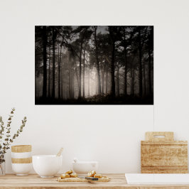 Foggy Woodland Rushmere Land Park (0872) Poster