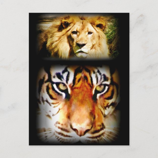 Fokus och mod_ vykort (Framsida)