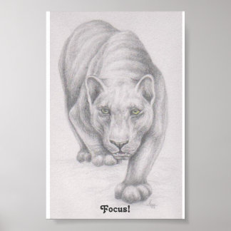 Fokus! Poster