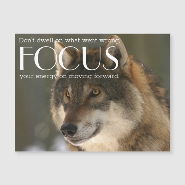 Fokusera citat på Varg Image-inspirationsmagnet (Framsida)