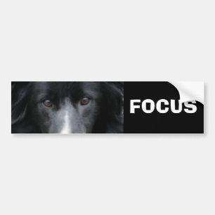 Fokusera den Motivational bildekalet för Bildekal