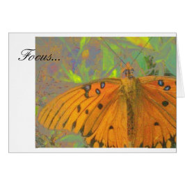 Fokusera fjärilen OBS kort