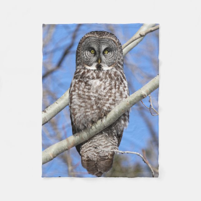 Fokuserad Fleecefilt (Framsidan)