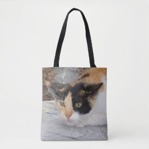 Fokuserad katt-totebrag tygkasse