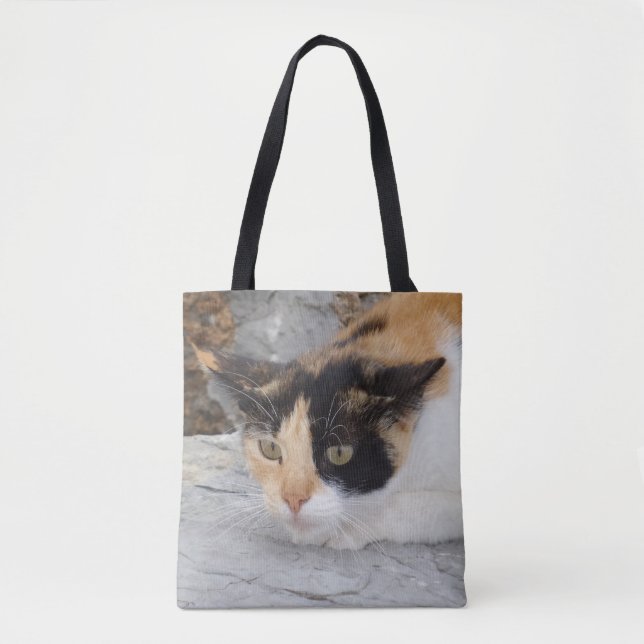 Fokuserad katt-totebrag tygkasse (Framsida)
