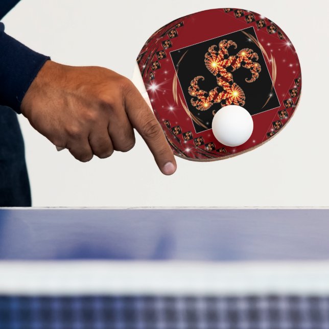 Fokuserad Precision Pingisracket: Celestial Gala Pingisracket (Insitu)