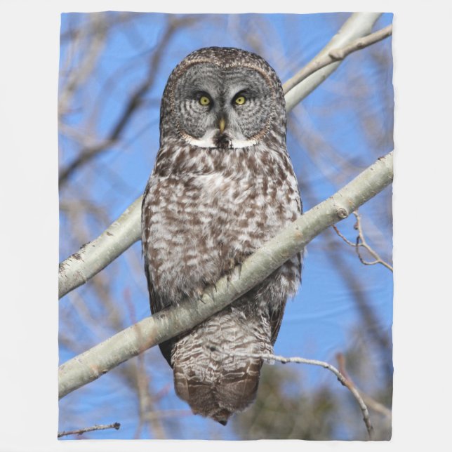 Fokuserat Fleecefilt (Framsidan)