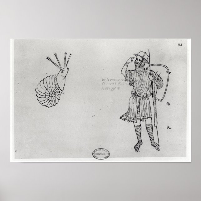 Fol.2 Snigel och ungerska soldater Poster (Framsidan)
