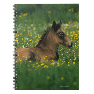 Föl liggande i blommor anteckningsbok med spiral