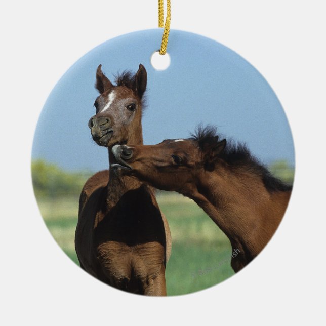 Föl som leker 2 julgransprydnad keramik (Framsidan)