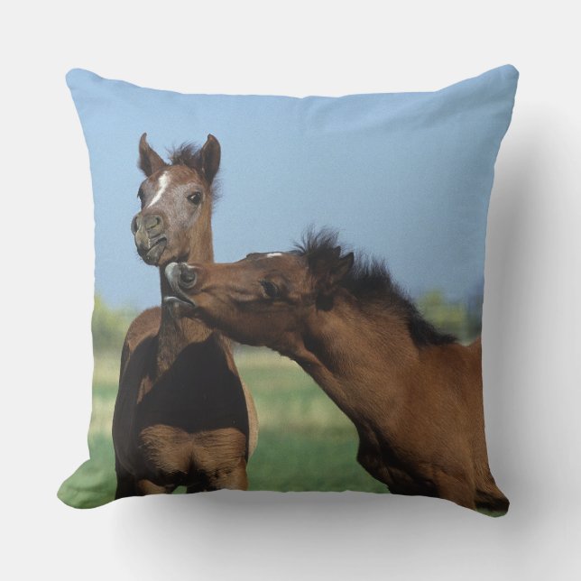 Föl som leker 2 kudde (Framsida)