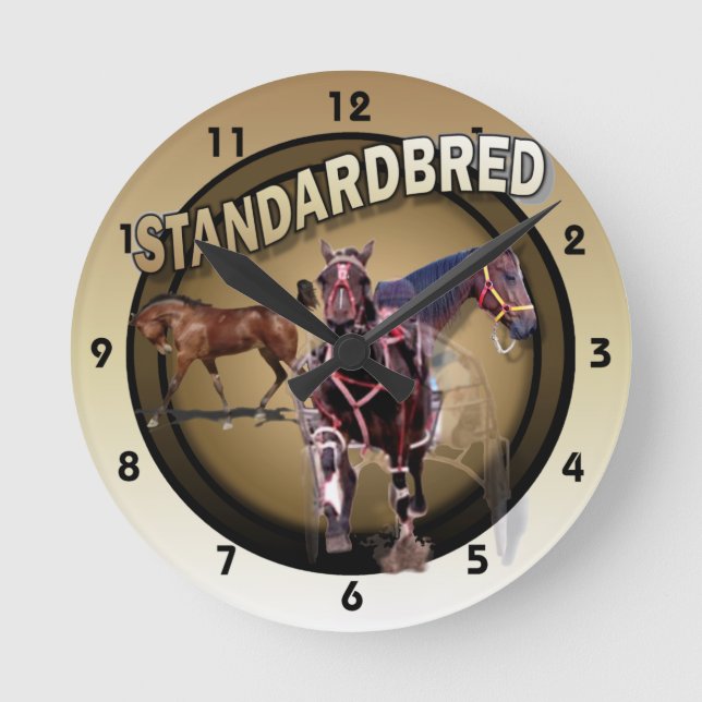 Föl till tävla rund klocka (Framsida)