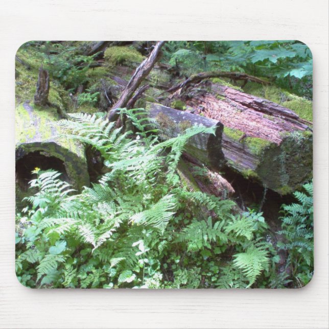 Folage Musmatta (Framsidan)