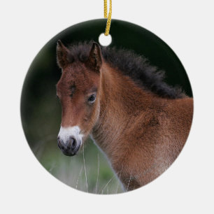 Fölanseende Julgransprydnad Keramik