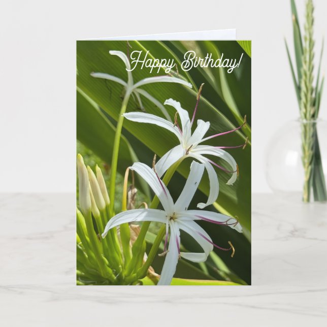 Folded Greeting Card Kort (Framsida)
