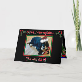 Folded Greeting Card Kort