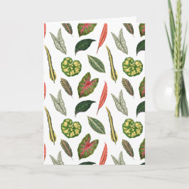 Folded Greeting Card Kort