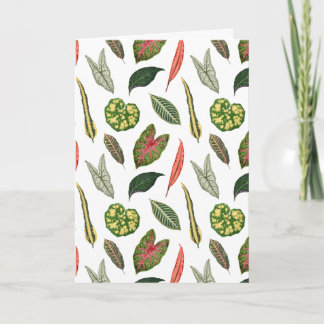 Folded Greeting Card Kort