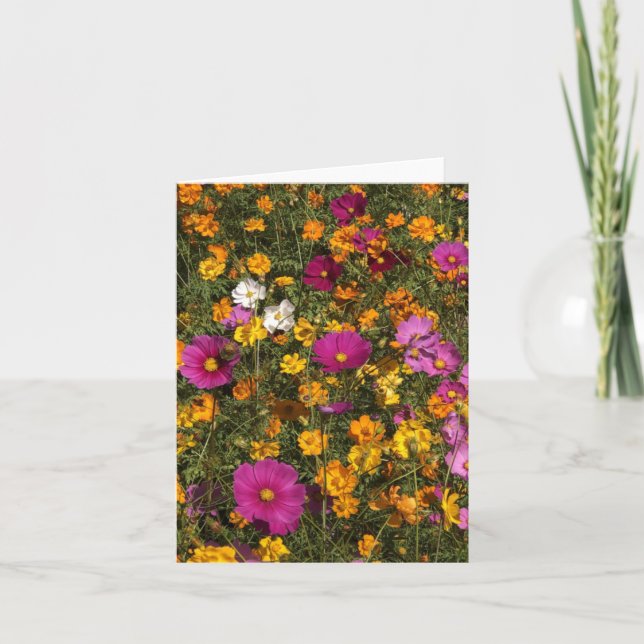 Folded greeting card with photo of flowers kort (Framsida)