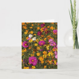 Folded greeting card with photo of flowers kort