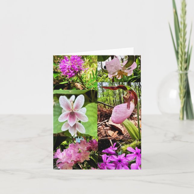 Folded greeting card with wildflowers kort (Framsida)