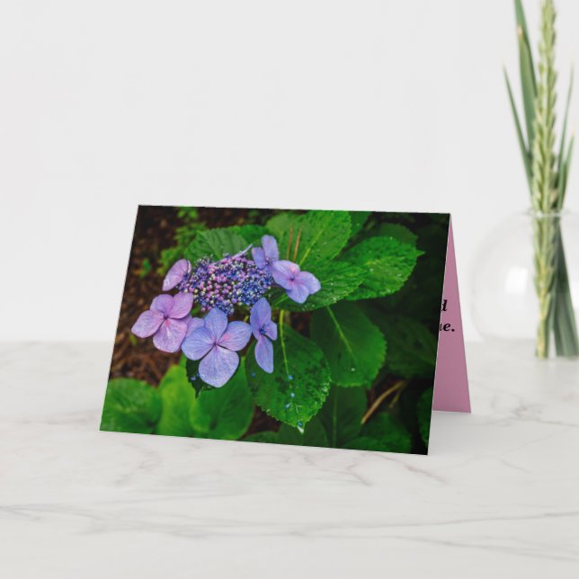 Folded Landscape Sympathy Card Kort (Framsida)