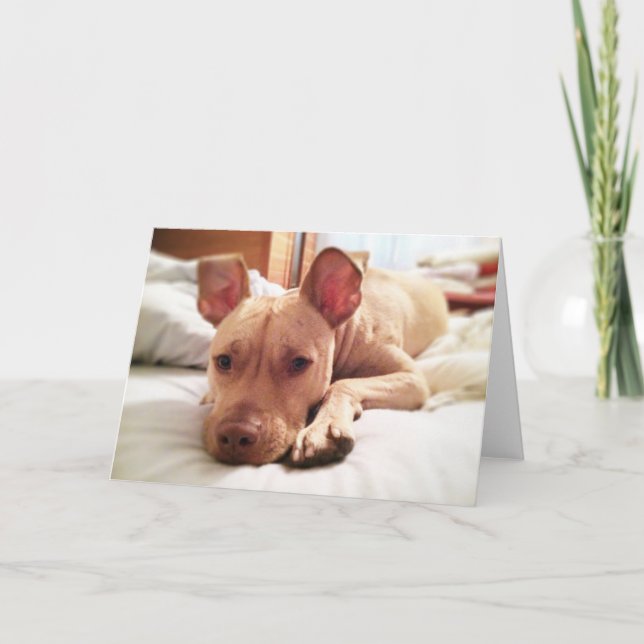 Folded Leon Greeting Card Kort (Framsida)