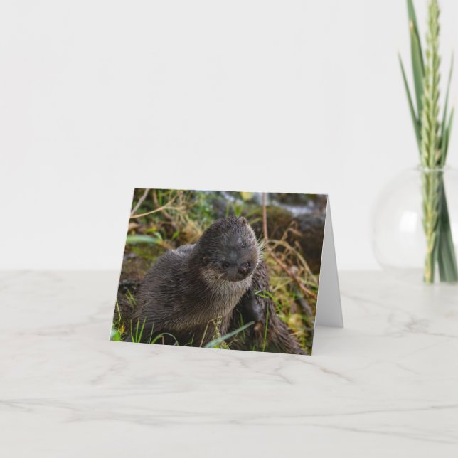 Folded Thank You Card Tack Kort (Framsida)