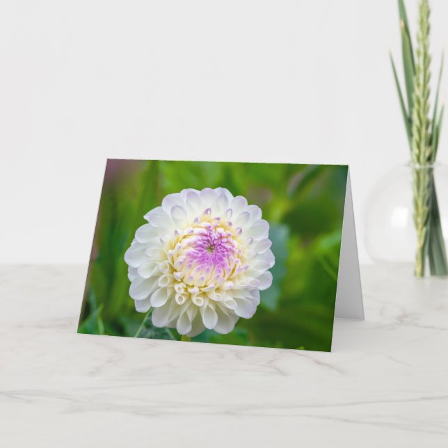 Folded Thank You Card Tack Kort (Framsida)