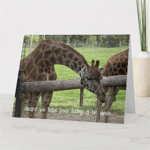 Folding Card - Giraff Välmående-kort Kort