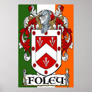 Foley Jackar Arm Skriv ut Poster