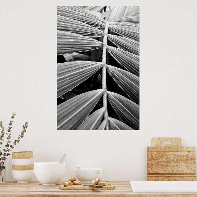 folha de palmeira poster (Kök)