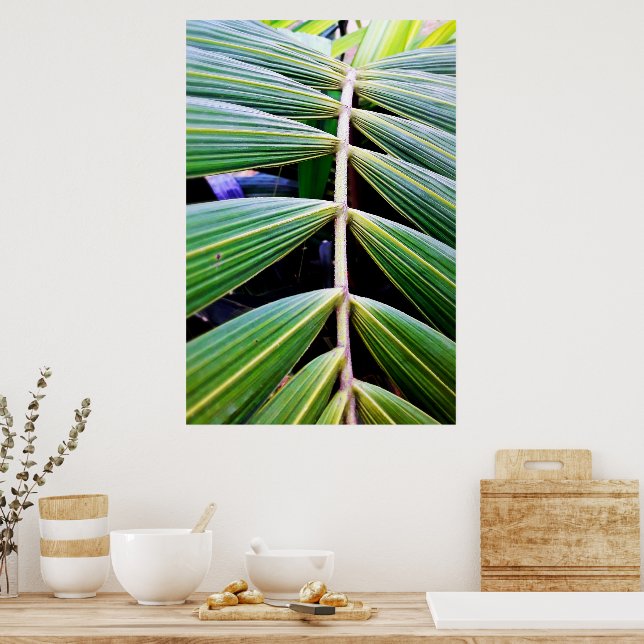 folhas de palmeira poster (Kök)
