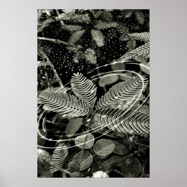 Folhas - Green Poster (Framsidan)