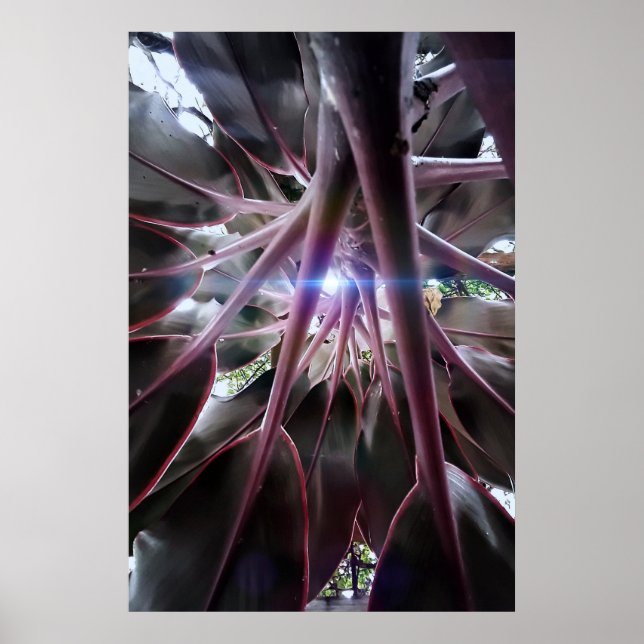 folhas roxas poster (Framsidan)