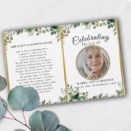 Foliage Greenery Photo Firande of Life Programme