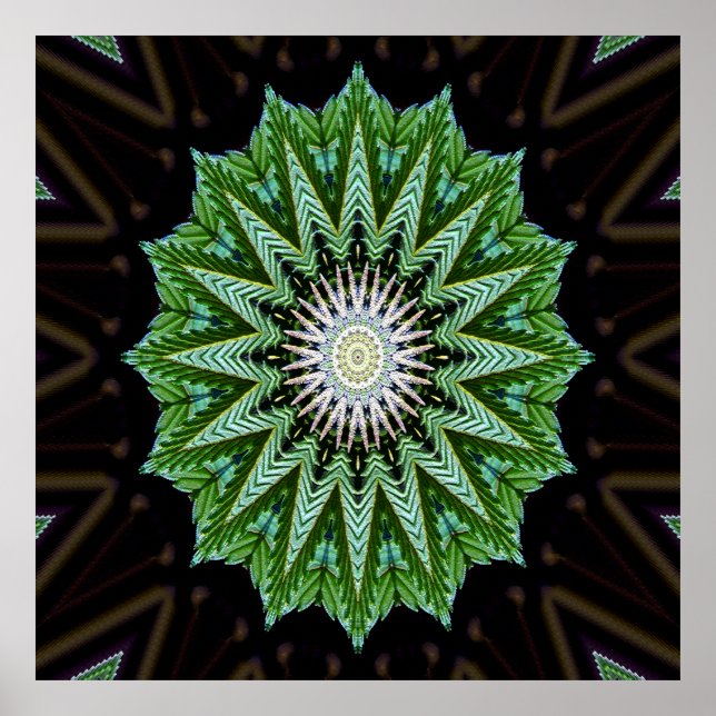 Foliage Mandala..... Poster (Framsidan)