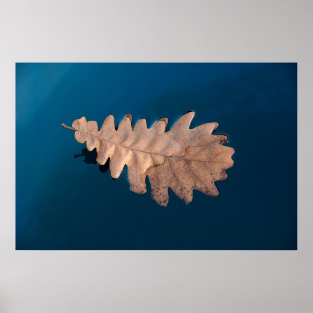 Foliage Poster (Framsidan)