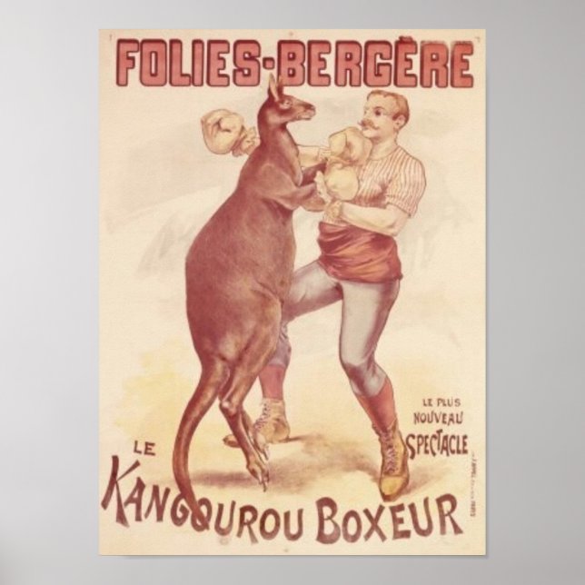 Folies Bergere - Boxing kangaroos Poster (Framsidan)