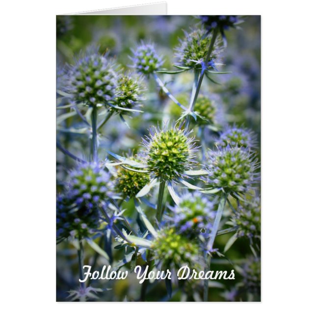 Följ dina drömmar hälsningskort (Framsidan)