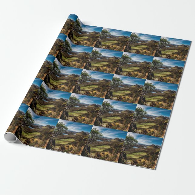 Följ dina drömmar! presentpapper (Utrullad)